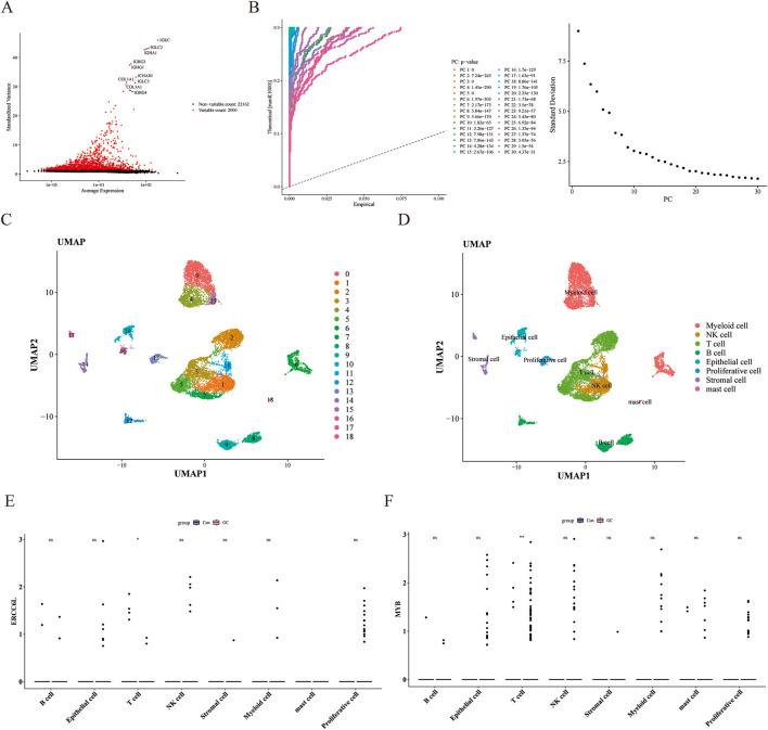 https://cdn.ncbi.nlm.nih.gov/pmc/blobs/bd44/12263385/70ec0222ce4b/fgene-16-1541489-g010.jpg