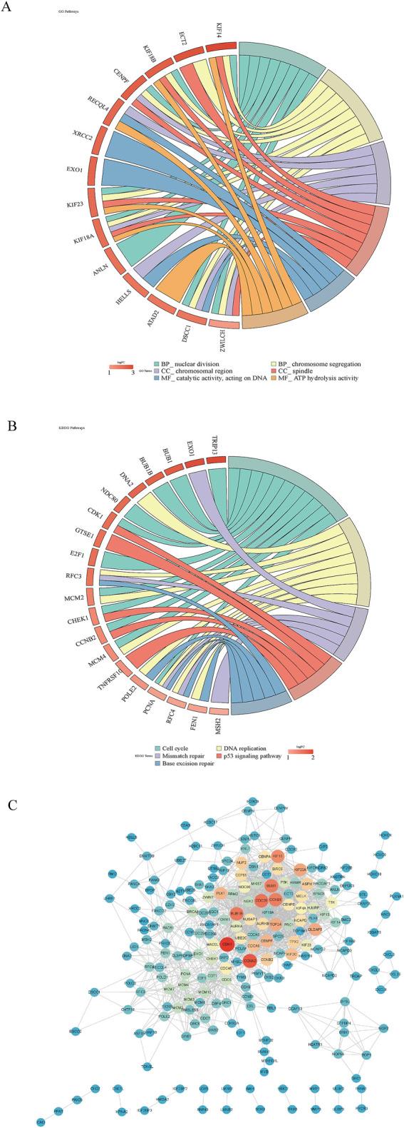 https://cdn.ncbi.nlm.nih.gov/pmc/blobs/bd44/12263385/91d86f6194ab/fgene-16-1541489-g002.jpg
