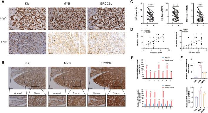 https://cdn.ncbi.nlm.nih.gov/pmc/blobs/bd44/12263385/b91beabcbb36/fgene-16-1541489-g012.jpg