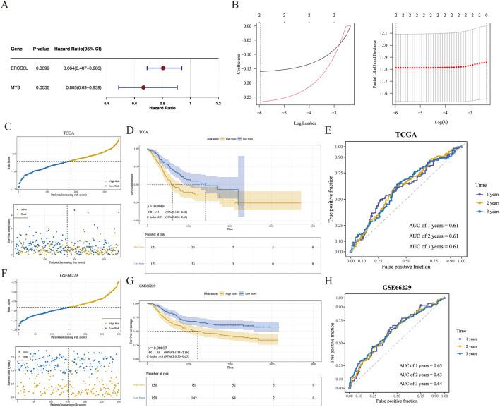 https://cdn.ncbi.nlm.nih.gov/pmc/blobs/bd44/12263385/e111f7cfaac2/fgene-16-1541489-g003.jpg