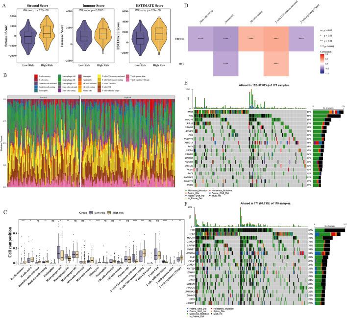 https://cdn.ncbi.nlm.nih.gov/pmc/blobs/bd44/12263385/f6f053363393/fgene-16-1541489-g005.jpg