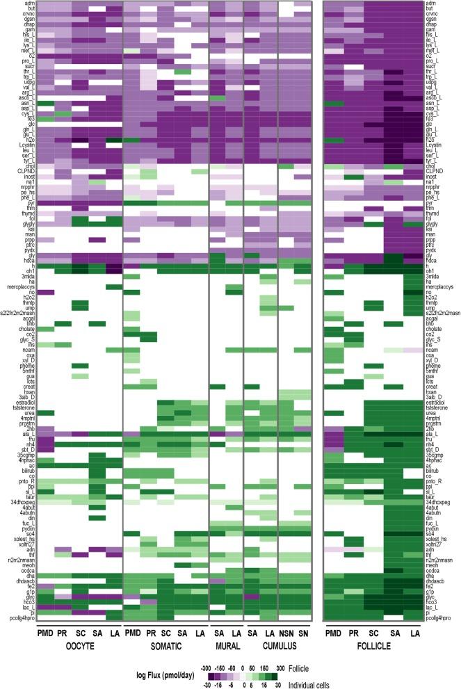 https://cdn.ncbi.nlm.nih.gov/pmc/blobs/bd44/6558917/5c271fcc0dd2/12859_2019_2825_Fig5_HTML.jpg