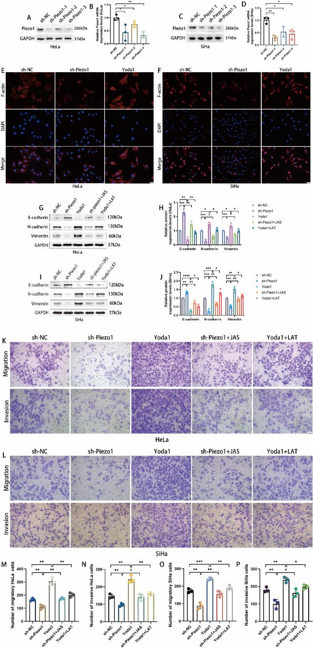 https://cdn.ncbi.nlm.nih.gov/pmc/blobs/bd47/12084484/165bff864c69/12672_2025_2474_Fig2_HTML.jpg