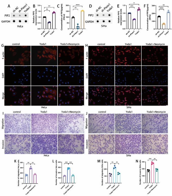 https://cdn.ncbi.nlm.nih.gov/pmc/blobs/bd47/12084484/2883698a79de/12672_2025_2474_Fig4_HTML.jpg