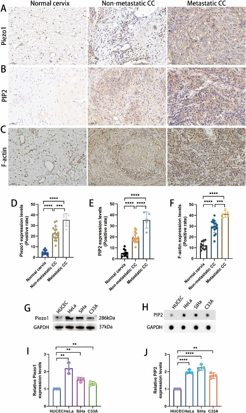 https://cdn.ncbi.nlm.nih.gov/pmc/blobs/bd47/12084484/5f106b543315/12672_2025_2474_Fig1_HTML.jpg