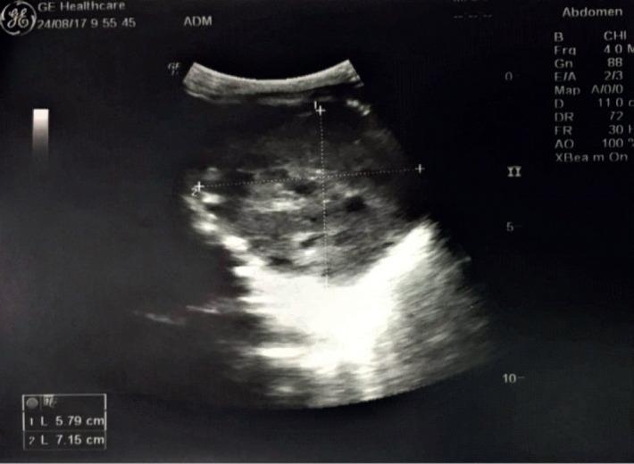https://cdn.ncbi.nlm.nih.gov/pmc/blobs/bd48/8116104/100d482d8689/medarch-75-61-g002.jpg