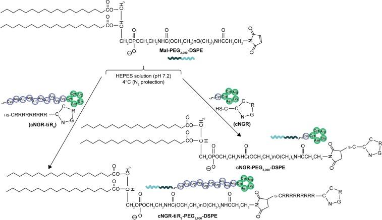 https://cdn.ncbi.nlm.nih.gov/pmc/blobs/bd49/6154709/b756577aae1d/ijn-13-5537Fig2.jpg