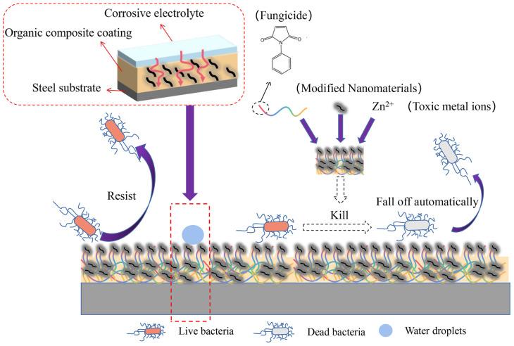 https://cdn.ncbi.nlm.nih.gov/pmc/blobs/bd4c/11768809/43a7b9ee4be0/polymers-17-00247-g008.jpg