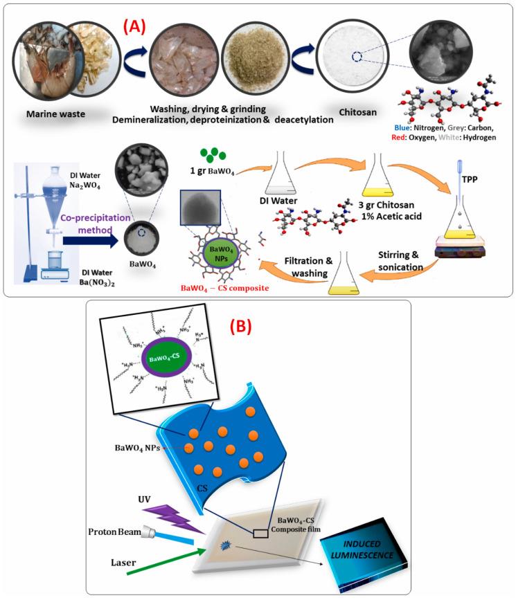 https://cdn.ncbi.nlm.nih.gov/pmc/blobs/bd4c/11768809/62a06c4dea55/polymers-17-00247-g007.jpg