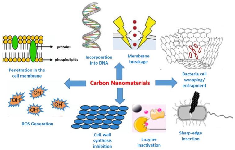 https://cdn.ncbi.nlm.nih.gov/pmc/blobs/bd4c/11768809/77a2249e1037/polymers-17-00247-g002.jpg