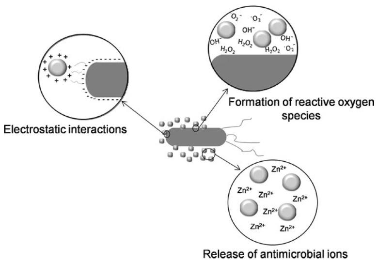 https://cdn.ncbi.nlm.nih.gov/pmc/blobs/bd4c/11768809/7eaca3dd8120/polymers-17-00247-g003.jpg