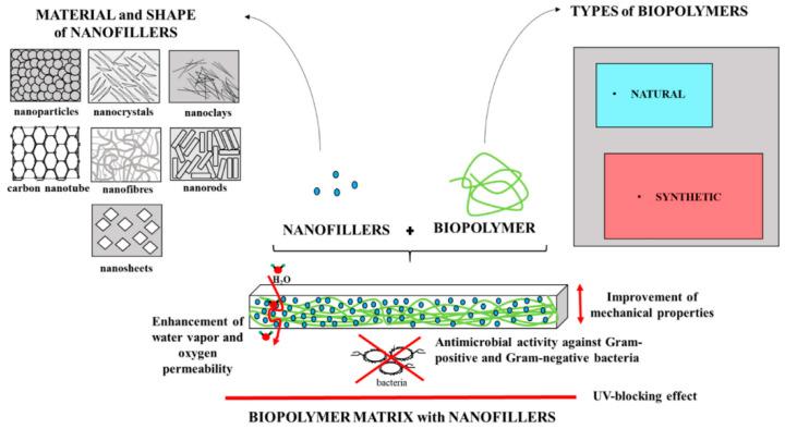 https://cdn.ncbi.nlm.nih.gov/pmc/blobs/bd4c/11768809/a2fed8dac3c4/polymers-17-00247-g001.jpg