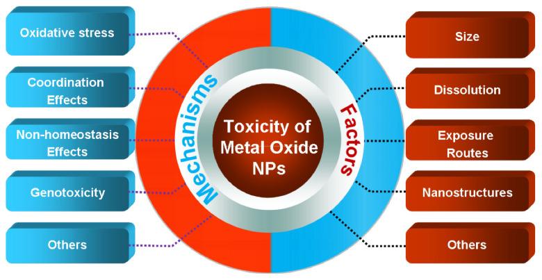 https://cdn.ncbi.nlm.nih.gov/pmc/blobs/bd4c/11768809/b9ce8a6a47d5/polymers-17-00247-g009.jpg