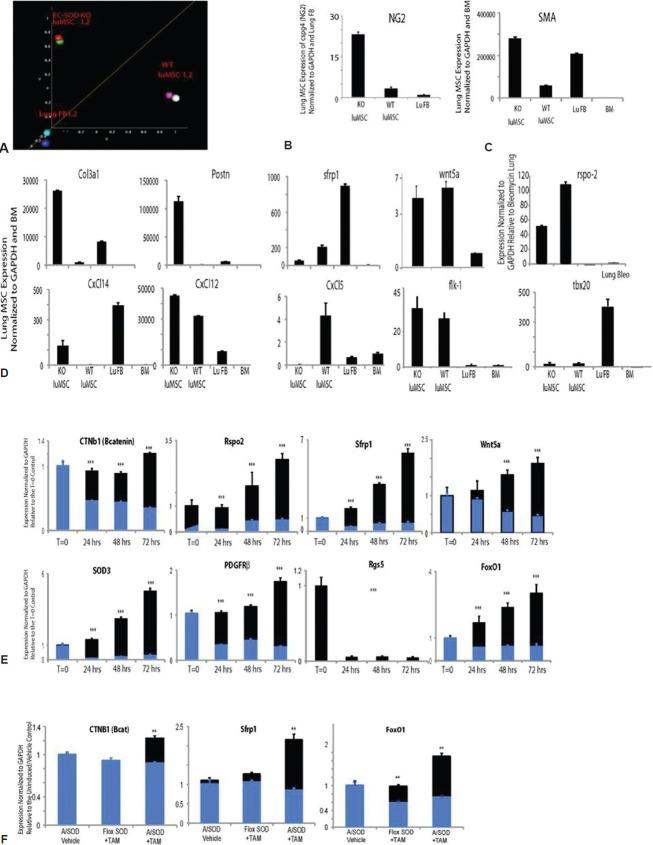 https://cdn.ncbi.nlm.nih.gov/pmc/blobs/bd4e/3641738/a7c758b86d71/PC-3-31-g011.jpg