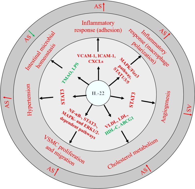 https://cdn.ncbi.nlm.nih.gov/pmc/blobs/bd4e/8362238/69160f6891e5/10020_2021_353_Fig1_HTML.jpg