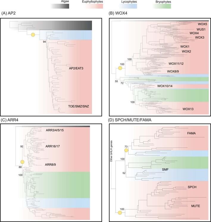 https://cdn.ncbi.nlm.nih.gov/pmc/blobs/bd50/9630106/336778c86ec0/41559_2022_1885_Fig10_ESM.jpg