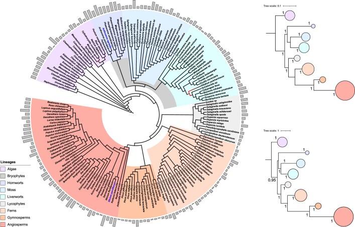 https://cdn.ncbi.nlm.nih.gov/pmc/blobs/bd50/9630106/43a29630ab71/41559_2022_1885_Fig5_ESM.jpg