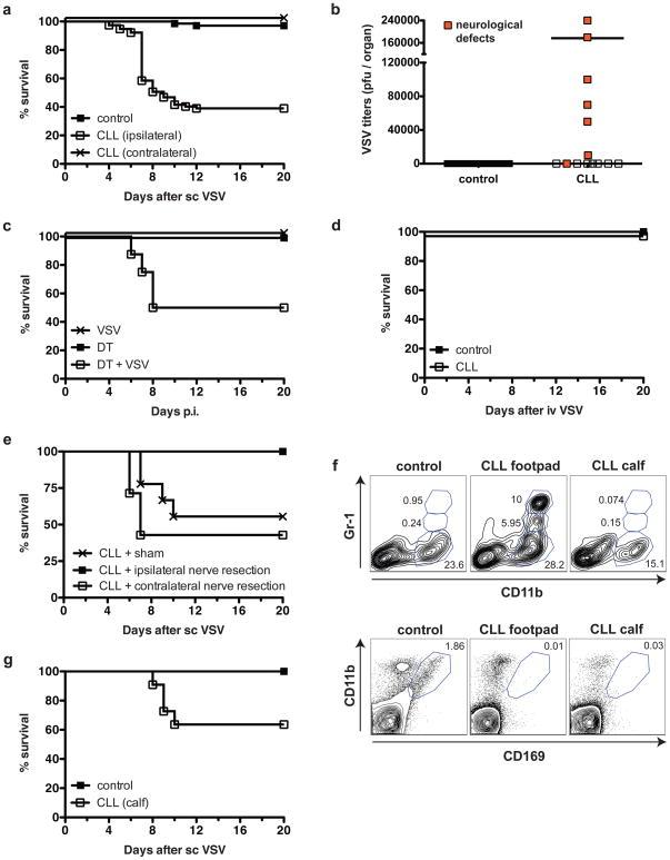 https://cdn.ncbi.nlm.nih.gov/pmc/blobs/bd52/2892812/1be7e59c5b94/nihms199055f1.jpg