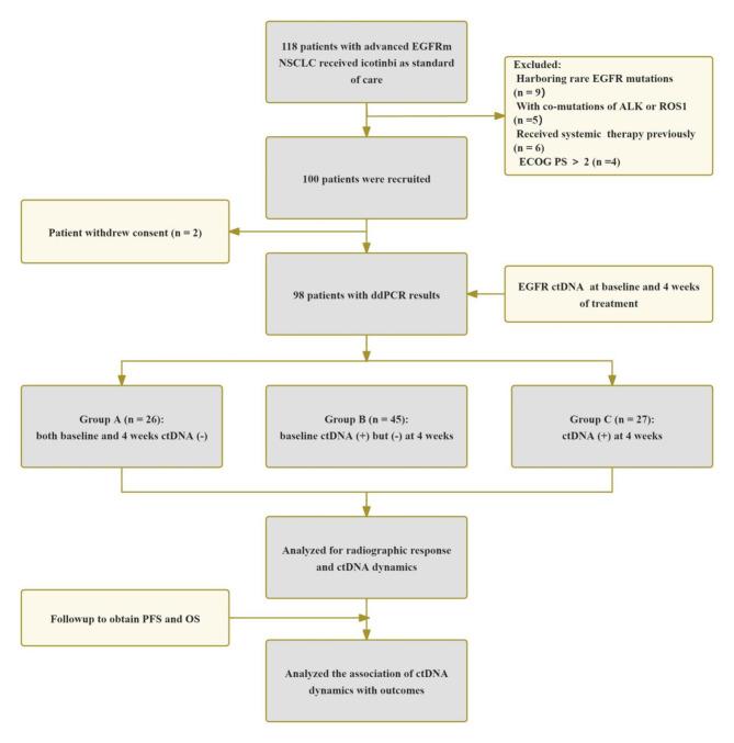 https://cdn.ncbi.nlm.nih.gov/pmc/blobs/bd53/11452669/a0e52f90e971/41598_2024_73749_Fig1_HTML.jpg