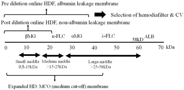 https://cdn.ncbi.nlm.nih.gov/pmc/blobs/bd55/10856111/053ef5cfc939/jcm-13-00647-g001.jpg