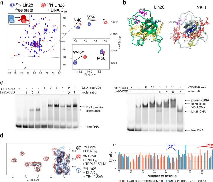 https://cdn.ncbi.nlm.nih.gov/pmc/blobs/bd58/7979924/4ff343bcd4b6/42003_2021_1862_Fig2_HTML.jpg