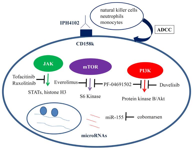 https://cdn.ncbi.nlm.nih.gov/pmc/blobs/bd58/8537763/769007b108c4/ijms-22-11079-g002.jpg