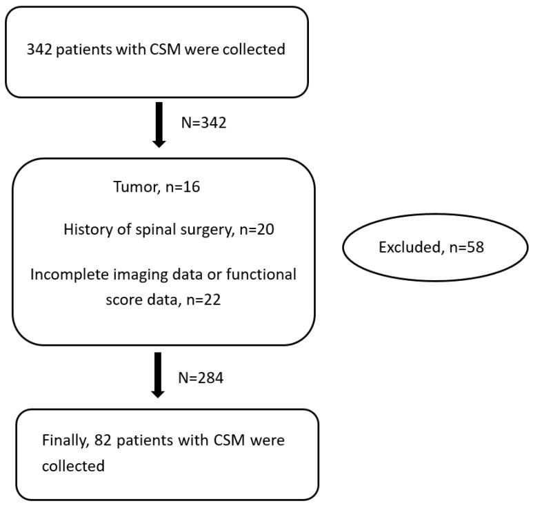 https://cdn.ncbi.nlm.nih.gov/pmc/blobs/bd5b/9405785/617eb6a3bc9b/brainsci-12-01088-g001.jpg
