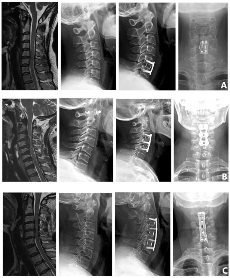 https://cdn.ncbi.nlm.nih.gov/pmc/blobs/bd5b/9405785/8e5a707ad6dc/brainsci-12-01088-g002a.jpg