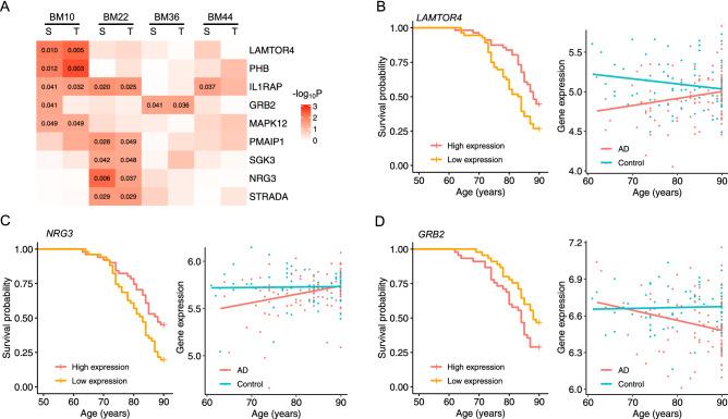 https://cdn.ncbi.nlm.nih.gov/pmc/blobs/bd5c/8519945/6e77a24a1f16/41598_2021_99352_Fig4_HTML.jpg
