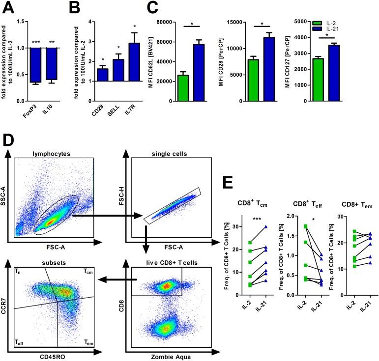 https://cdn.ncbi.nlm.nih.gov/pmc/blobs/bd5d/5862566/517392515b5a/oncotarget-09-13125-g004.jpg
