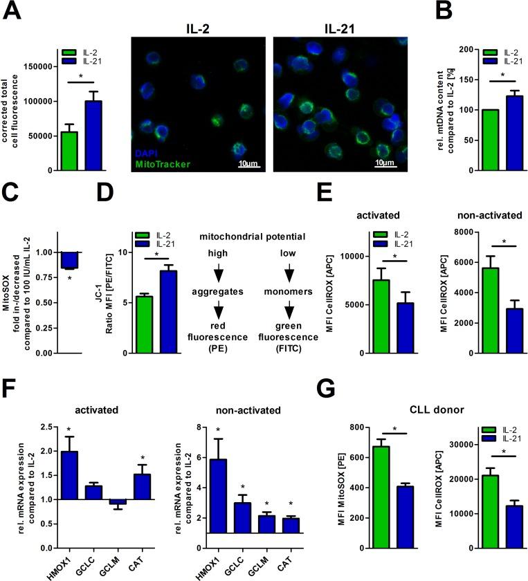 https://cdn.ncbi.nlm.nih.gov/pmc/blobs/bd5d/5862566/70f9b7bfde06/oncotarget-09-13125-g002.jpg