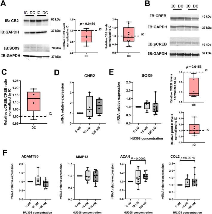 https://cdn.ncbi.nlm.nih.gov/pmc/blobs/bd5e/10098743/30bf31a2aa6c/JBMR-38-154-g007.jpg