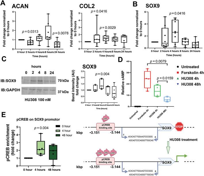 https://cdn.ncbi.nlm.nih.gov/pmc/blobs/bd5e/10098743/e5cc9f5ec268/JBMR-38-154-g001.jpg