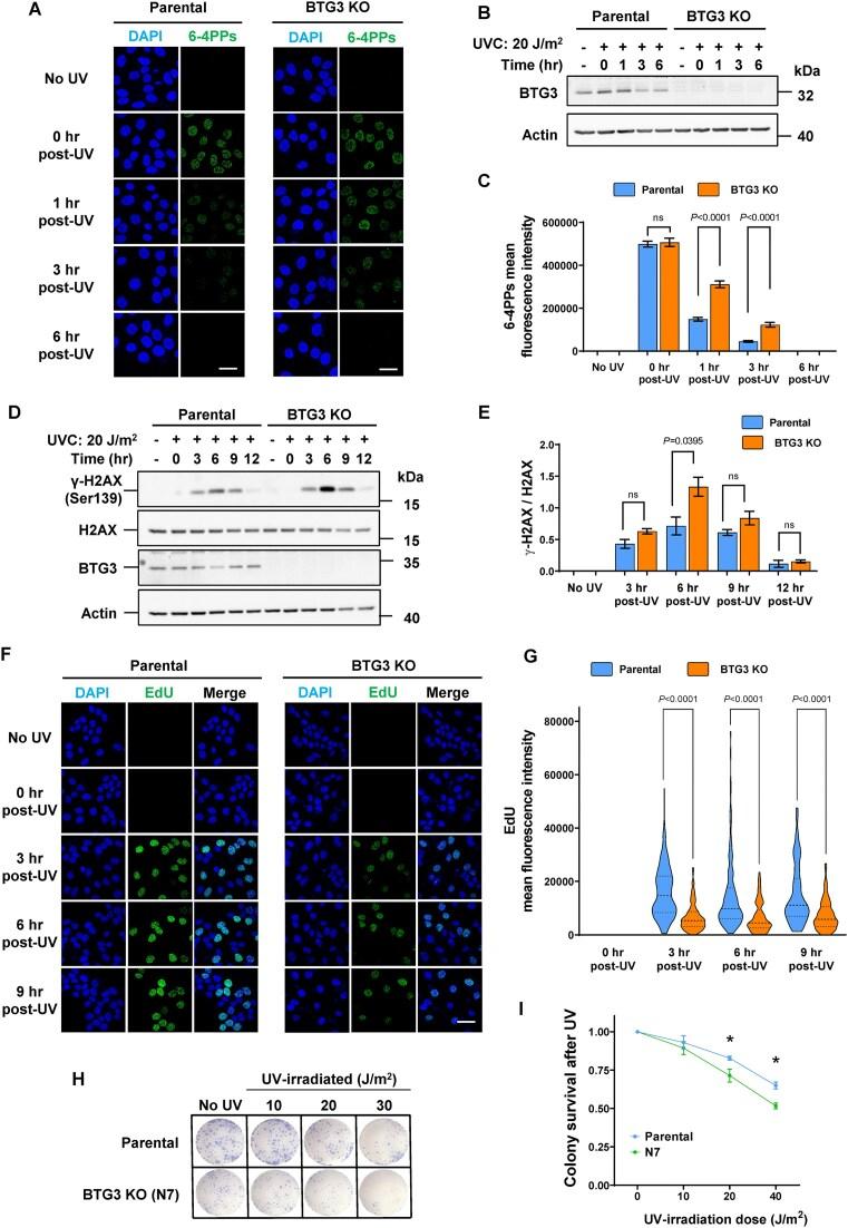 https://cdn.ncbi.nlm.nih.gov/pmc/blobs/bd5e/12235512/4801fcba93ab/gkaf626fig1.jpg