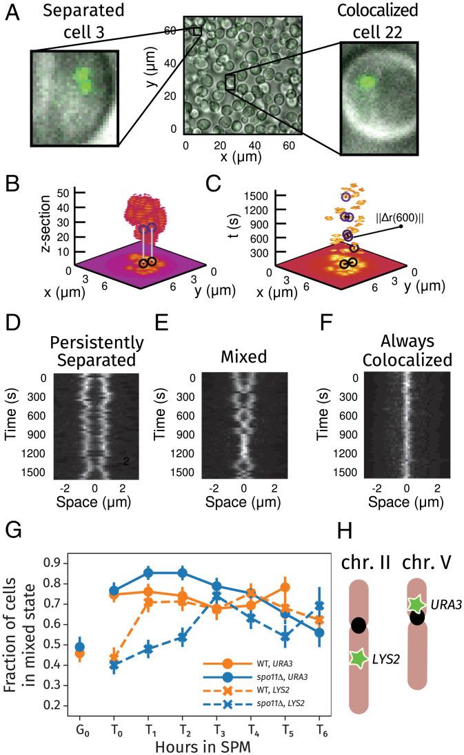 https://cdn.ncbi.nlm.nih.gov/pmc/blobs/bd60/8944930/9f8c89ffa5db/pnas.2115883119fig02.jpg