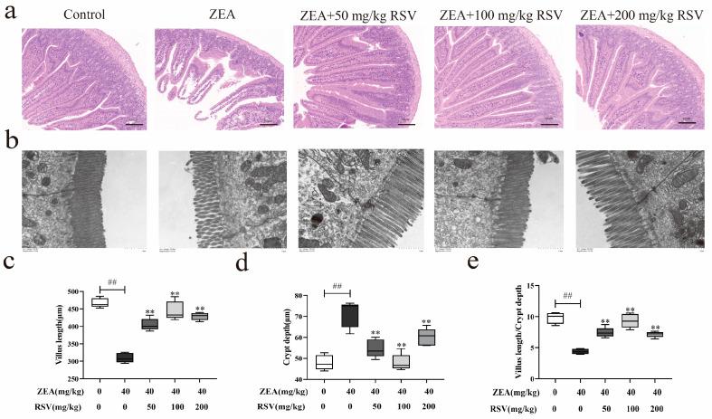 https://cdn.ncbi.nlm.nih.gov/pmc/blobs/bd64/11049466/82d37b562c4d/foods-13-01217-g001.jpg