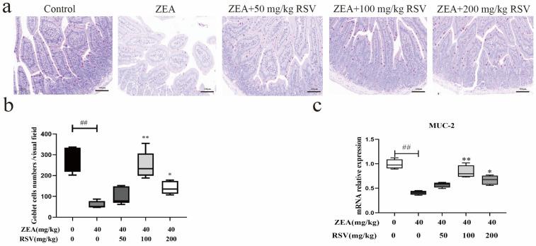 https://cdn.ncbi.nlm.nih.gov/pmc/blobs/bd64/11049466/c8c7b91df712/foods-13-01217-g003.jpg
