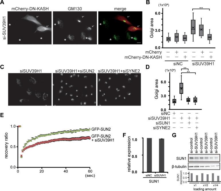 https://cdn.ncbi.nlm.nih.gov/pmc/blobs/bd65/10337926/87613967b4df/pone.0283490.g003.jpg