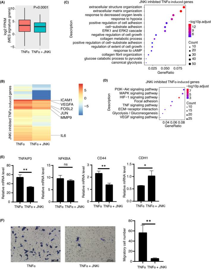 https://cdn.ncbi.nlm.nih.gov/pmc/blobs/bd66/9357637/9e914138ca82/JCMM-26-4602-g003.jpg