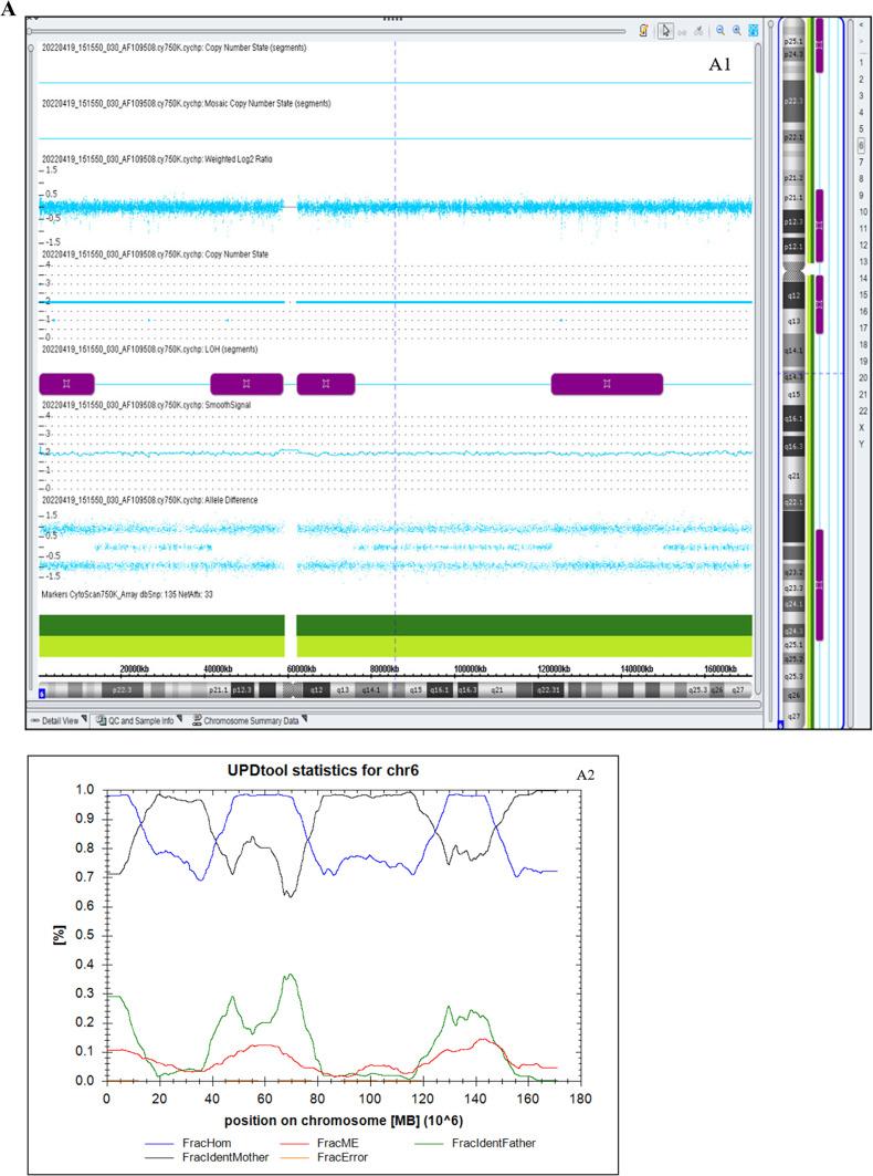 https://cdn.ncbi.nlm.nih.gov/pmc/blobs/bd6b/11550844/fc687061804d/41598_2024_75738_Fig2a_HTML.jpg