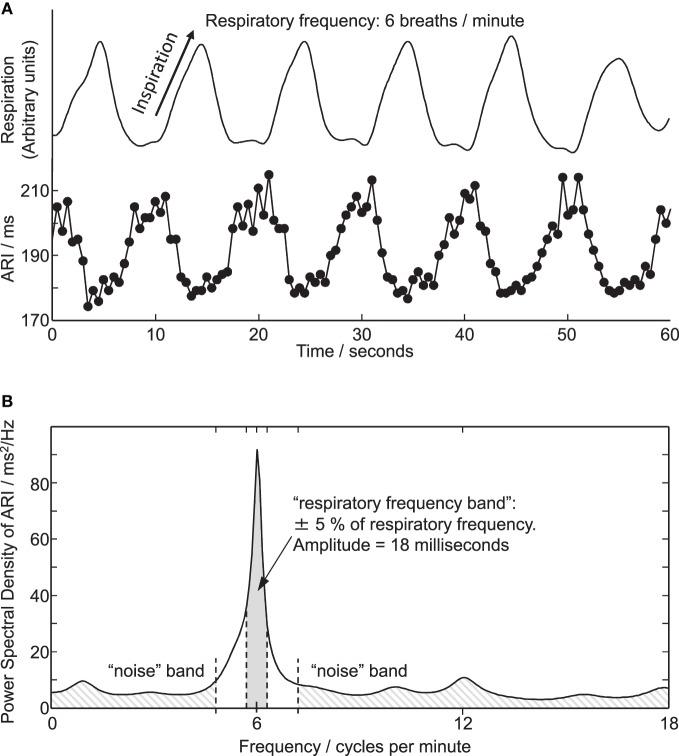 https://cdn.ncbi.nlm.nih.gov/pmc/blobs/bd6e/3457072/1e2c442de0b3/fphys-03-00379-g0003.jpg