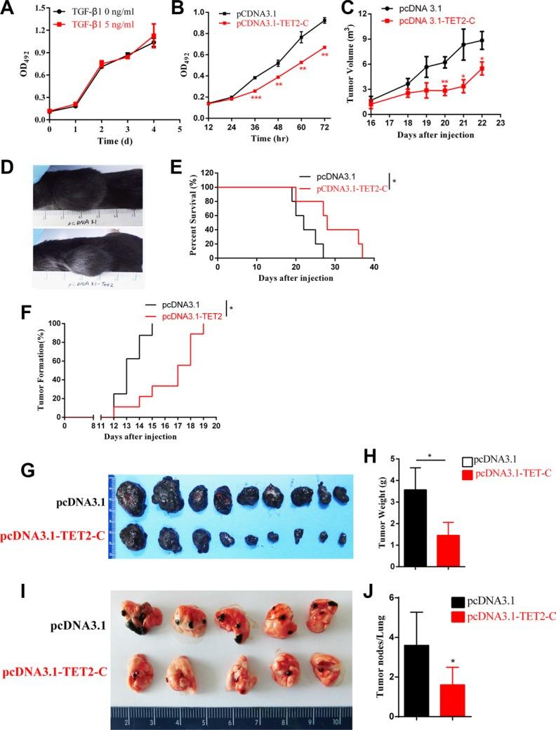 https://cdn.ncbi.nlm.nih.gov/pmc/blobs/bd70/5352122/1ab07ba8f409/oncotarget-08-315-g007.jpg
