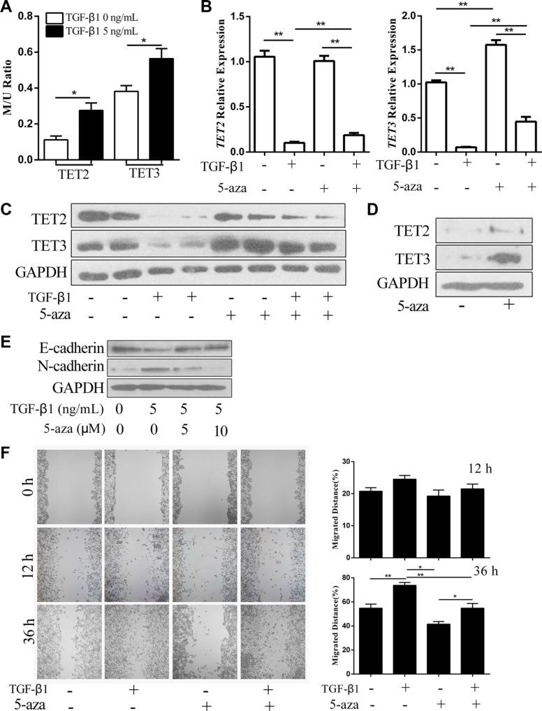 https://cdn.ncbi.nlm.nih.gov/pmc/blobs/bd70/5352122/2eadeefbcf81/oncotarget-08-315-g003.jpg