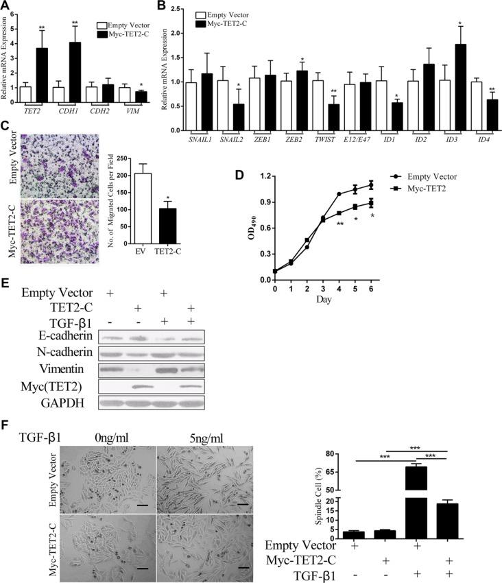 https://cdn.ncbi.nlm.nih.gov/pmc/blobs/bd70/5352122/3dbc3e4c3920/oncotarget-08-315-g006.jpg