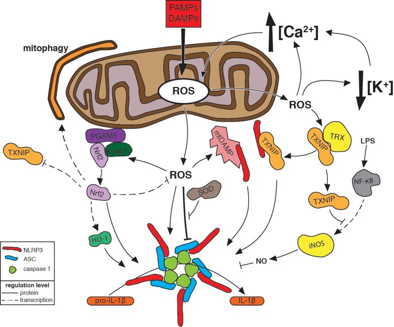 https://cdn.ncbi.nlm.nih.gov/pmc/blobs/bd71/4596921/147870199756/gr3.jpg