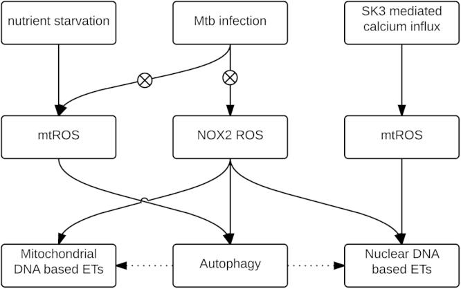 https://cdn.ncbi.nlm.nih.gov/pmc/blobs/bd71/4596921/4208aa48ce6a/gr2.jpg