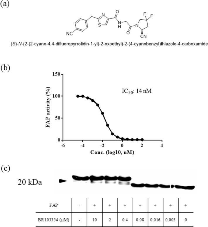 https://cdn.ncbi.nlm.nih.gov/pmc/blobs/bd71/7718273/1b78138ed51a/41598_2020_77978_Fig1_HTML.jpg