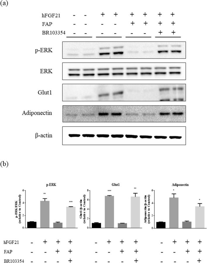 https://cdn.ncbi.nlm.nih.gov/pmc/blobs/bd71/7718273/1cb81502f7b1/41598_2020_77978_Fig2_HTML.jpg