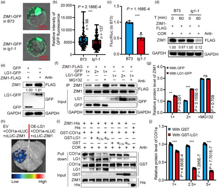 https://cdn.ncbi.nlm.nih.gov/pmc/blobs/bd72/11606423/452331ef24f5/PBI-22-3326-g001.jpg