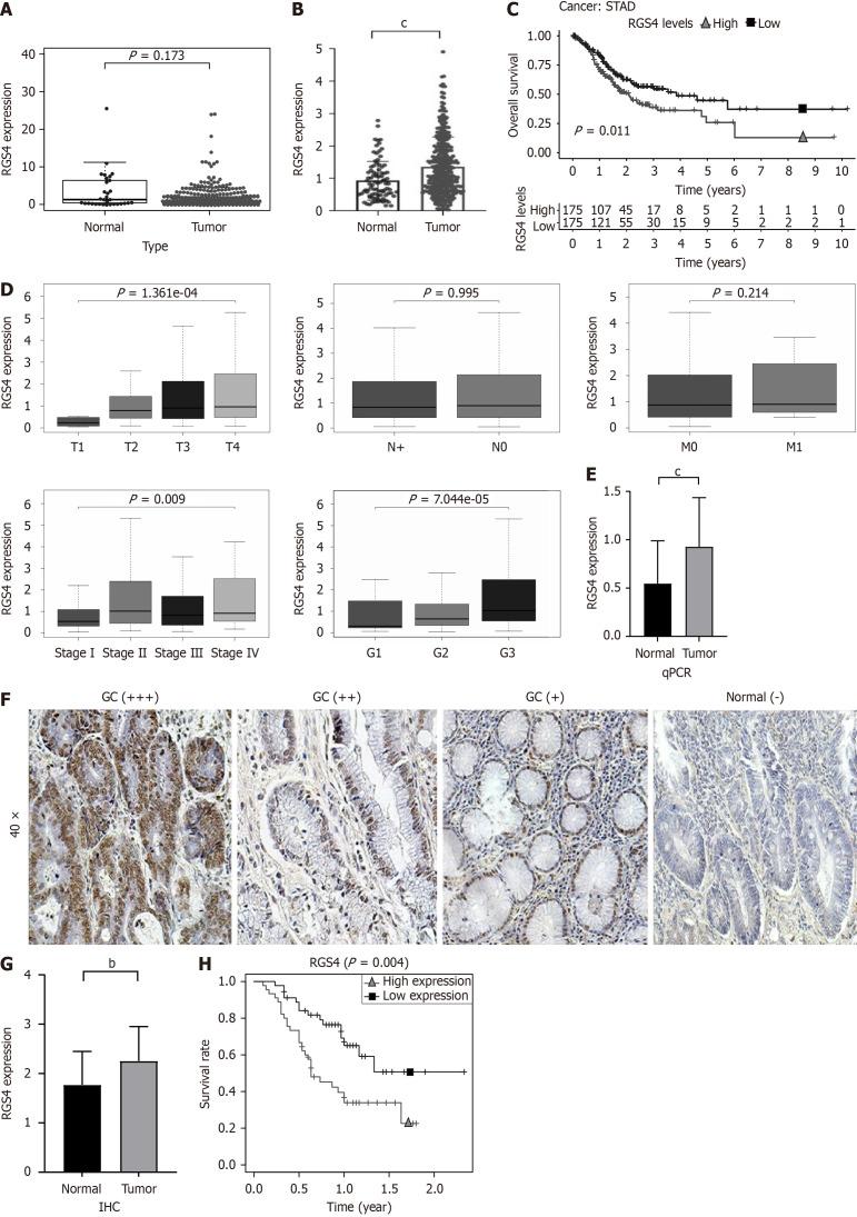 https://cdn.ncbi.nlm.nih.gov/pmc/blobs/bd73/11684191/840998eb3d35/100898-g001.jpg